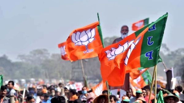 Madhya Pradesh Assembly Election 2023 Battle Within The Saffron Family