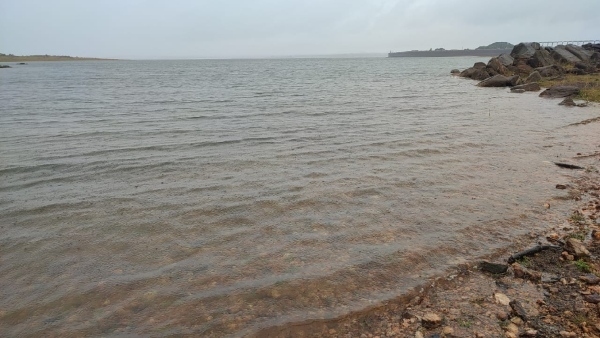 Cauvery dispute: Protest with displaying neem leaves and sweets in Chamarajanagar