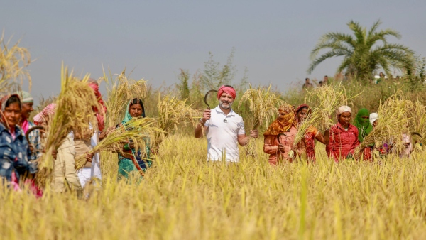 Chhattisgarh Assembly Election 2023: Discover What New Poll Explains About Chhattisgarh Election 