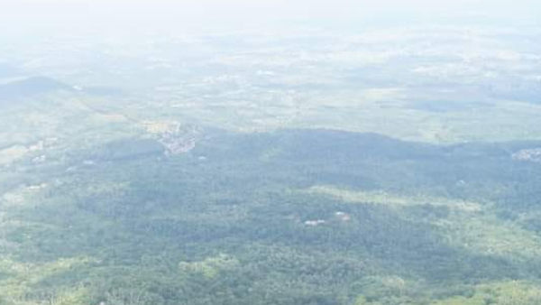 Illegal Land Allotment At Chikkamagaluru Action Against Officials 