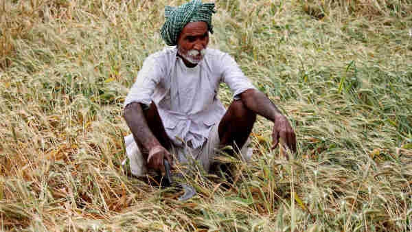 collector-ordered-to-relax-loan-repayment