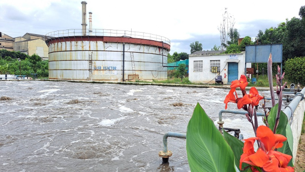 Coromandel Sugar Factory in Mandya Gains Fame for Eco-Friendly Production Techniques