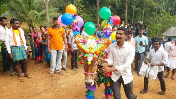deepavali-late-celebration-in-uttara-kannada