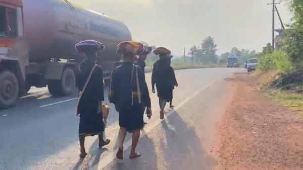 dog-walks-600-km-with-sabarimala-devotees