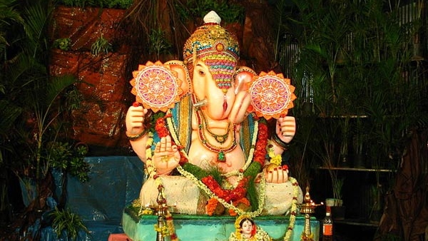 dont-buy-these-things-on-wednesday