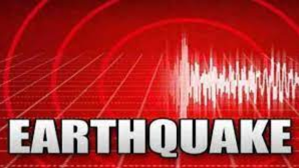 earth-vibrated-800-times-in-14-hours earth-vibrated-800-times-in-14-hours
