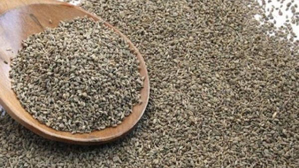 health-tips-home-remedy-for-childrens-cough