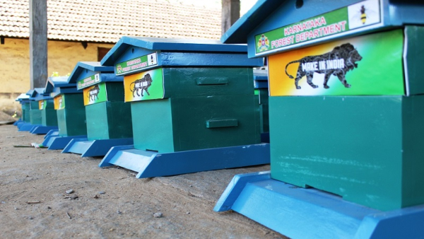 Coorg Honey: Sale Of Mixing Honey In Kodagu