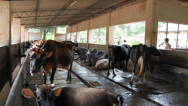 Irregularity in Narega works: FIR against two officials in Raichur