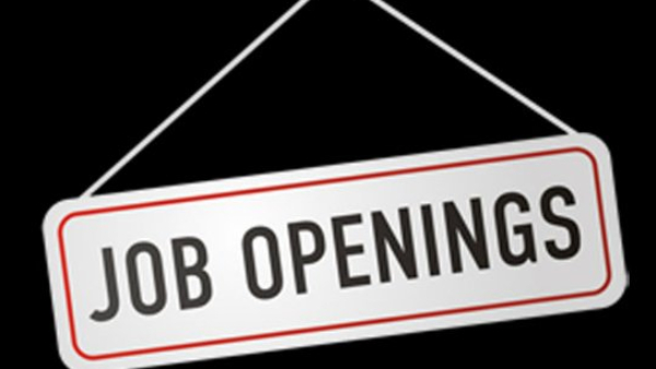 KEA Recruitment 2023: KEA Invite Application For Staff Nurse Officers Post by Eligible