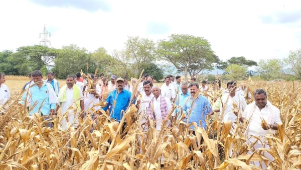 m-p-renukacharya-warns