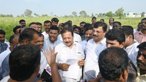 Crop damage: Minister N Cheluvarayaswamy consoled the farmers