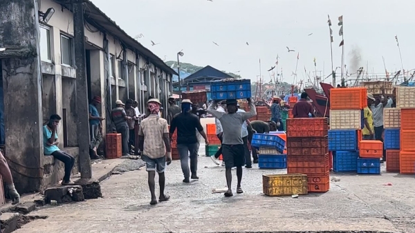 Coastal Fisheries Collapsed In This Year