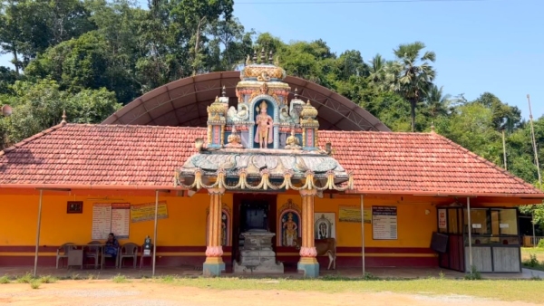  Peacock Dance with Silver Anklet Draws Devotees at Mangaluru Sri Anantha Padmanabha Temple Video Viral