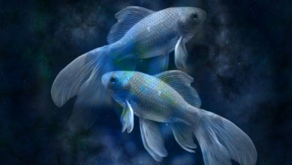 Pisces Horoscope 2024 in Kannada: Meen Rashi Varshika Bhavishya 2023, Meen Yearly Predictions