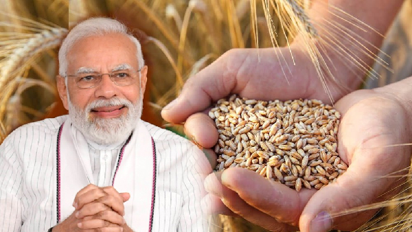 PM Modi Led Central BJP Govt Extended Food Grain Distribution Scheme PMGKAY for Till Next 5 Years