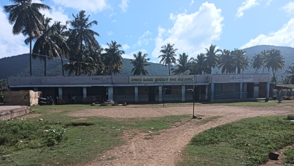 Problem from chickens: Childrens who have not gone to school for 7 days in Peddanapalya 