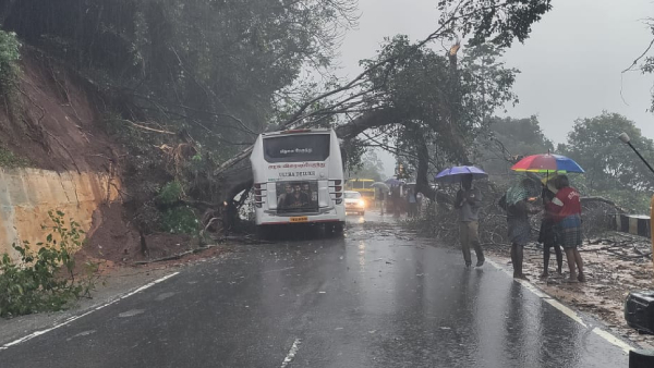 Weekend Weather: Widespread Rains to Hit Kerala, Tamil Nadu, Andhra, Karnataka, Maharashtra
