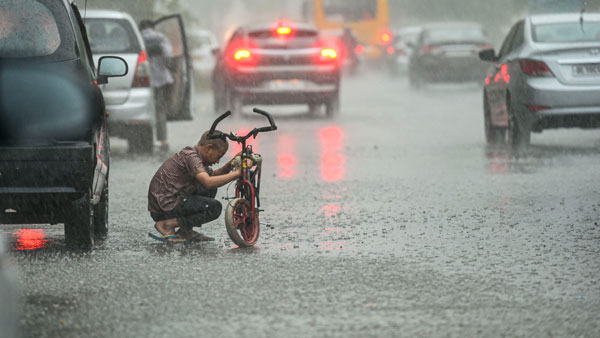 Karnataka weather: Heavy rainfall forecast in these districts of state for the next 5 days