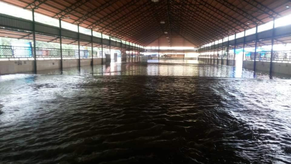 Rain forecast: Kerala set to receive more rain after wet weekend- Yellow alert in Sabarimala