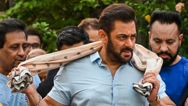 Salman Khan Movie Tiger 3 Box Office Collection