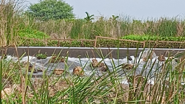 Water wasted from super broad gauge near Channagiri taluk, famers outrage 