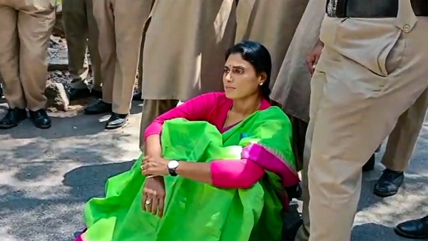 Telangana Election 2023: Jagan Reddys Sister YS Sharmila Wont Contest Telangana Polls, Reason Is Here