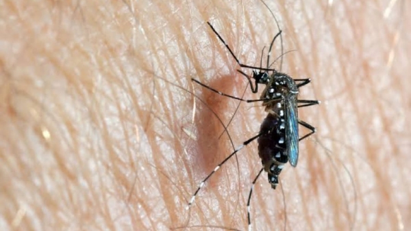Zika Virus Found In Chikkaballapur