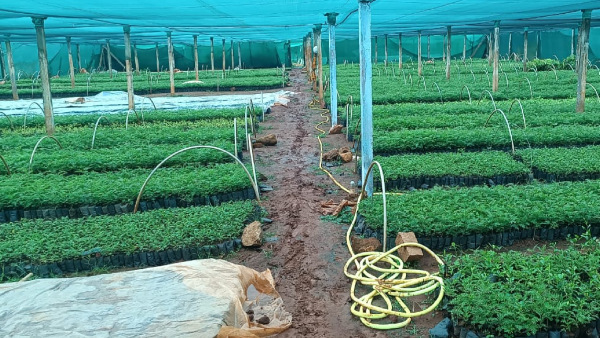 PUC failed brothers per month income is 50,000, how?, know details 