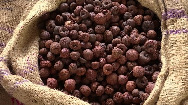  Arecanut: Authorities Intercept Smuggled Arecanut at Kempegowda International Airport