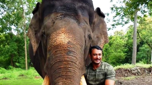 Elephant Arjuna Death: Interesting Story About Dasara Elephant Arjuna