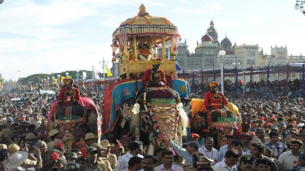 Elephant Arjuna Death: Arjuna Carried Ambari Not Eight But Nine Times Elephant Arjuna Death: Arjuna Carried Ambari Not Eight But Nine Times