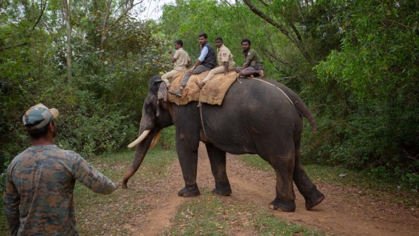 The forest officer who said the reason for the death of the elephant Arjuna 