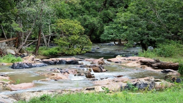 Bandipur to Gopalswami Hills: 10 Famous Places to Visit in Chamarajanagar During December