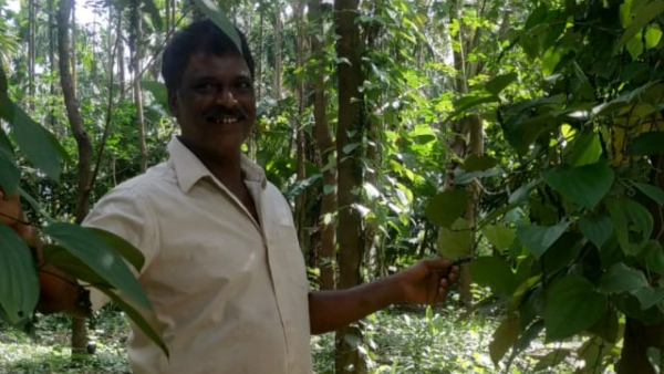 Belthangady Man Performs Brutal Assault On His Wife At Shishila Belthangady Man Performs Brutal Assault On His Wife At Shishila