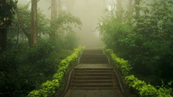 Bengaluru to Nandi Hills First Electric Train Started Today Dec 11th, check Memu Train Schedule, List Bengaluru to Nandi Hills First Electric Train Started Today Dec 11th, check Memu Train Schedule, List