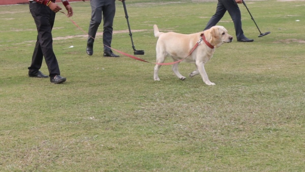 Bangalore Schools Bomb Threat - Probe Dogs Inspection