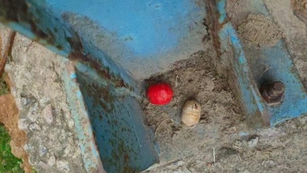 Bomb Blast In Ramanagara District Kanakapura Taluk