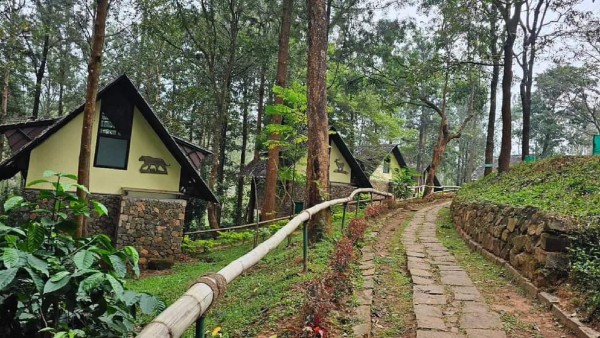 New Year 2024: Best tourist spots for New Year celebration In Chamarajanagar district