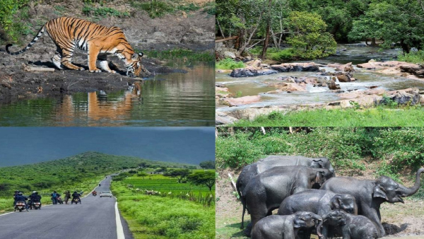 More than 70 lakh tourists visits tourist spots of Chamarajanagar district in 2023