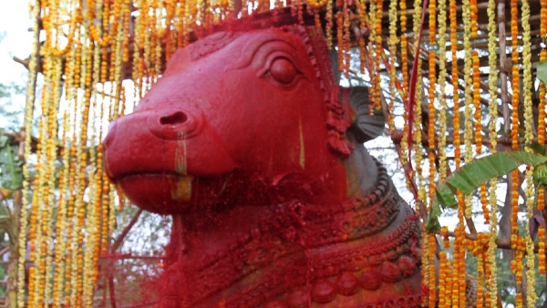 Team India coach Rahul Dravid and his wife who visited Chamundeshwari temple 