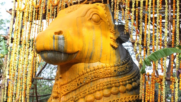 Team India coach Rahul Dravid and his wife who visited Chamundeshwari temple 