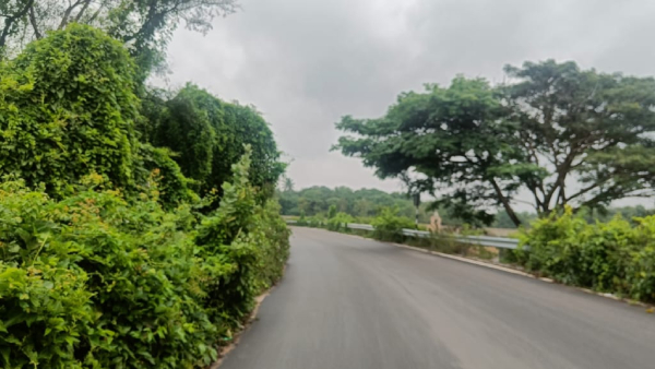 Chikkaballapur road is obstructed by plants: the lake is the site of accidents!