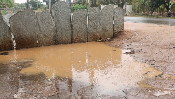 Chikkaballapur road is obstructed by plants: the lake is the site of accidents!