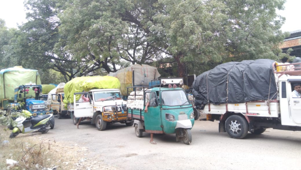 More Complications for Selling Cotton; Farmers distressed by falling prices in raichur