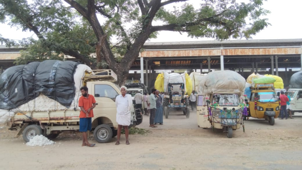 More Complications for Selling Cotton; Farmers distressed by falling prices in raichur
