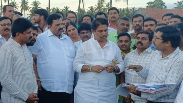 R Ashok Inspect Crop Damage Due To Drought At Kadur 