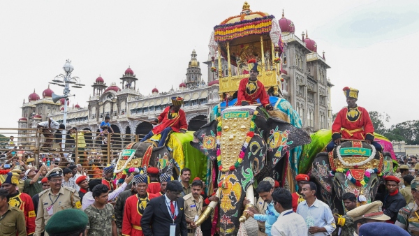 Discover How Elephant Arjuna Death Created Storm In Karnataka