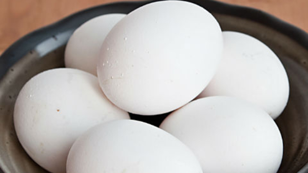 Madhya Pradesh CM Mohan Yadav has banned the sale of meat and eggs in the open Madhya Pradesh CM Mohan Yadav has banned the sale of meat and eggs in the open