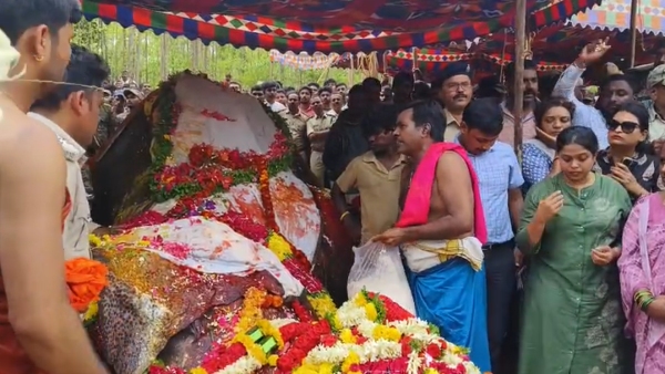 Mysore Dasara Elephant Arjuna Funeral At Sakleshpur Hassan Mysore Dasara Elephant Arjuna Funeral At Sakleshpur Hassan